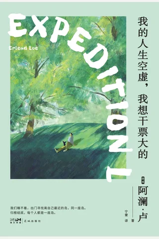 《我的人生空虚，我想干票大的》【豆瓣评分6.9】 封面