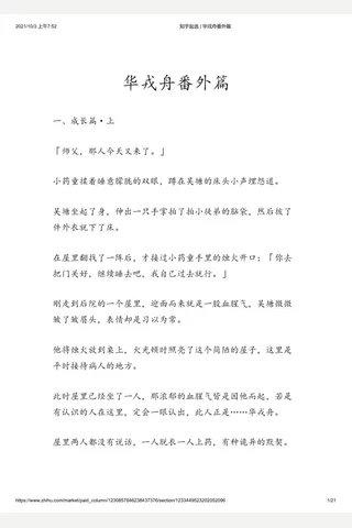 知乎盐选 华戎舟番外篇 封面