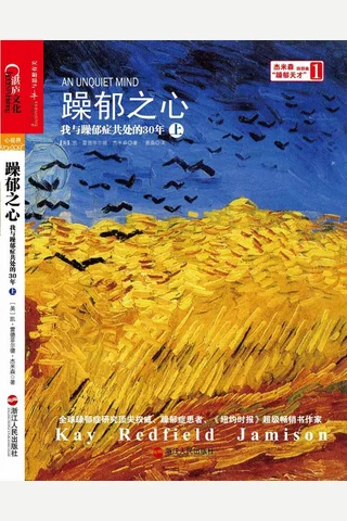 躁郁之心：我与躁郁症共处的30年 封面