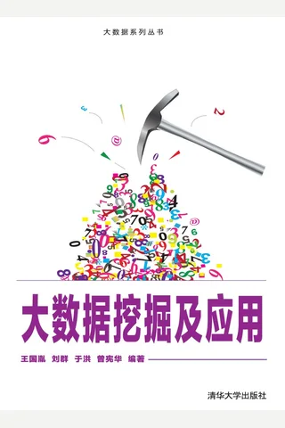 大数据挖掘及应用 封面