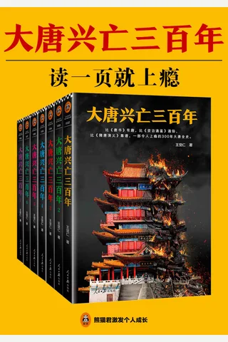 大唐兴亡三百年 封面