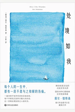 处境如我 封面