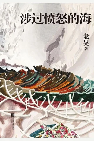 涉过愤怒的海 封面