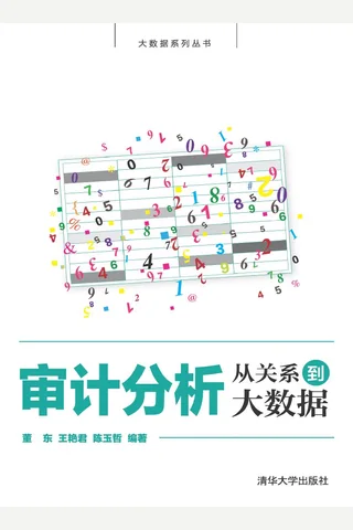 审计分析：从关系到大数据 封面