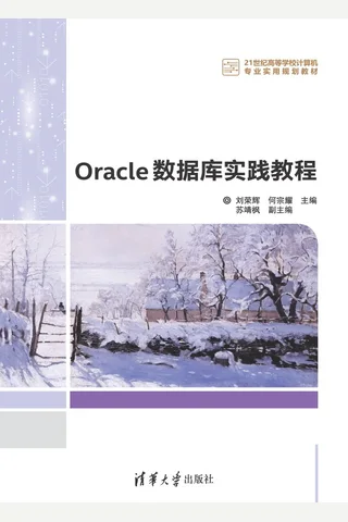 Oracle 数据库实践教程 封面