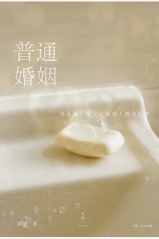 《普通婚姻》 封面