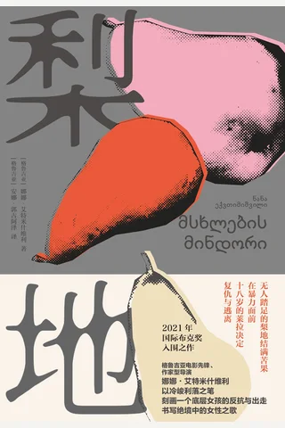 《梨地》【豆瓣评分8.0】 封面