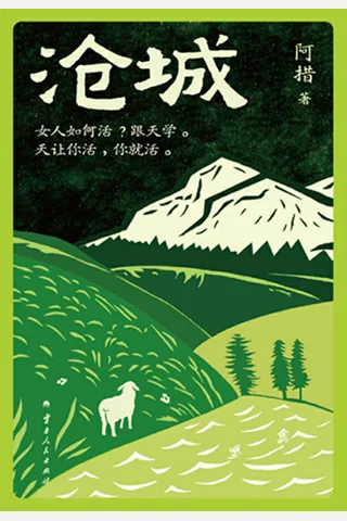 沧城 封面