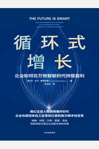《循环式增长》 封面