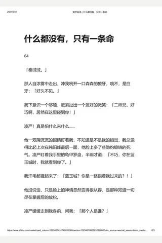 知乎盐选 什么都没有，只有一条命 封面