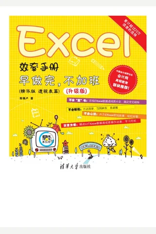 Excel效率手册——早做完，不加班（精华版 透视表篇）升级版 封面