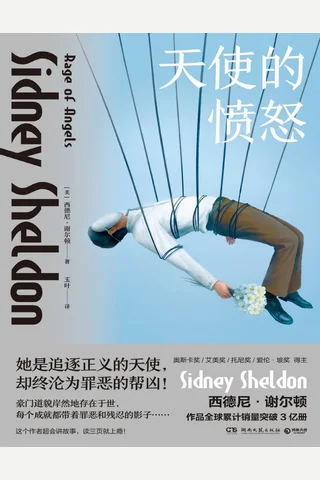 《天使的愤怒》 封面