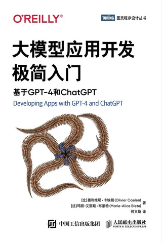 《大模型应用开发极简入门》 封面