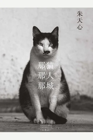 那猫那人那城 封面