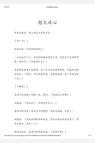 知乎盐选 怒火攻心 封面