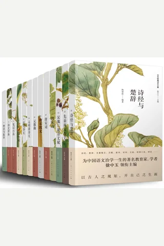 中华经典诗文之美 封面