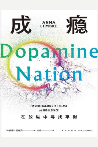 成瘾 封面