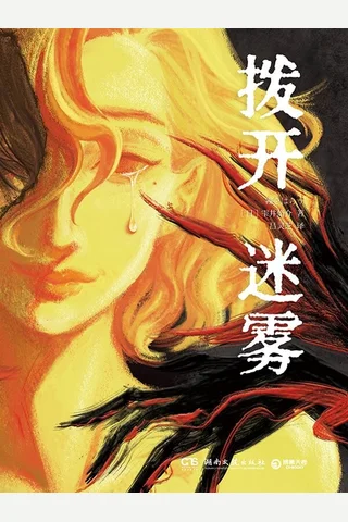 《拨开迷雾》【豆瓣评分7.1】 封面