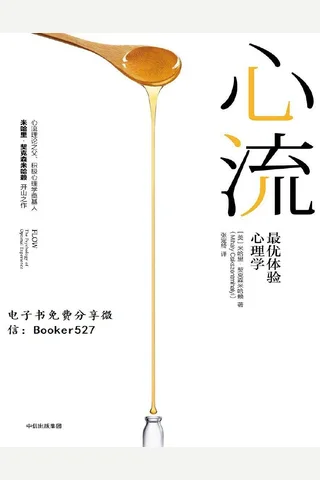 心流 封面