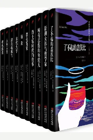 菲茨杰拉德全集 封面