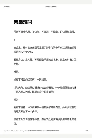 知乎盐选 弟弟难哄 封面