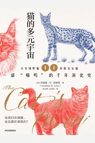 猫的多元宇宙 封面