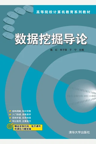 数据挖掘导论 封面