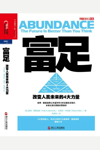 富足：改变人类未来的4大力量 封面