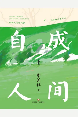 《自成人间》【豆瓣评分9.5】 封面