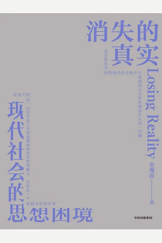 《消失的真实》 封面