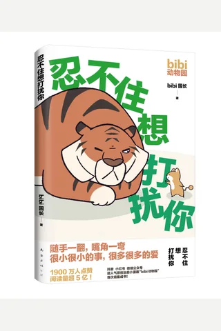 忍不住想打扰你 封面