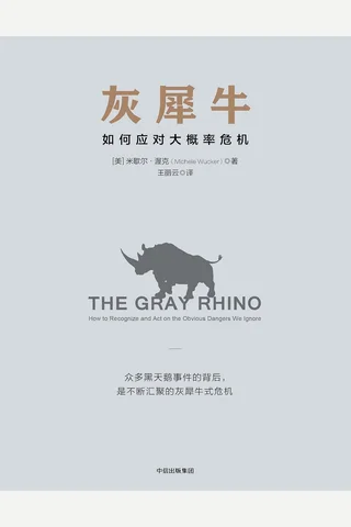 灰犀牛：如何应对大概率危机 封面