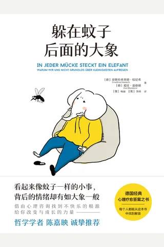 躲在蚊子后面的大象 封面