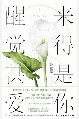 醒来甚是爱你 封面