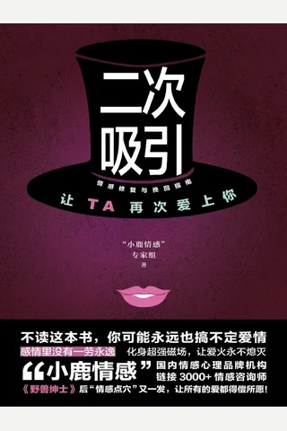 《二次吸引》 封面