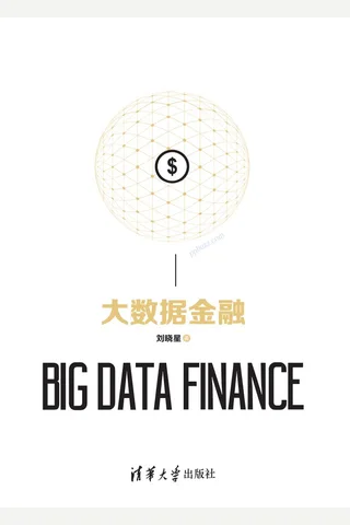 大数据金融 封面