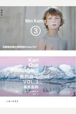 我的奋斗3：童年岛屿（21世纪文学明星克瑙斯高“文学自杀”之作 理想国出品） by 卡尔·奥韦·克瑙斯高 [卡尔·奥韦·克瑙斯高] 封面