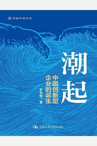 潮起：中国创新型企业的诞生 封面