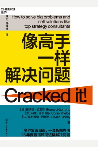 《像高手一样解决问题》 封面
