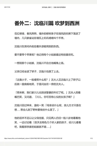 知乎盐选 番外二：沈临川篇 吹梦到西洲 封面