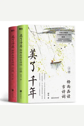 美了千年：杨雨品读古诗词 封面