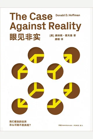 《眼见非实》 封面