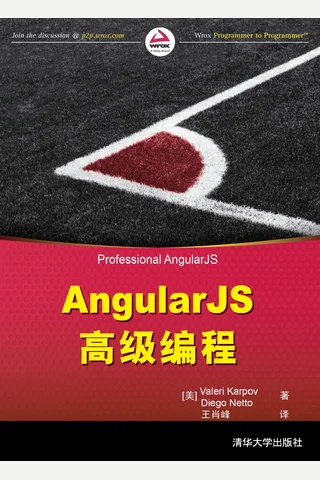 AngularJS高级编程-2016 封面