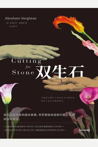 双生石 封面