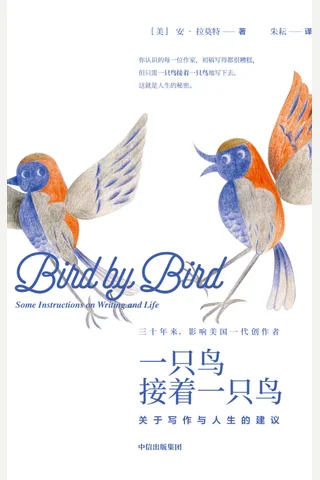 《一只鸟接着一只鸟：关于写作与人生的建议》 封面