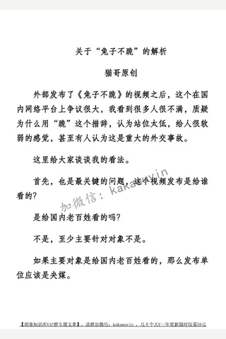 猫哥20250430关于“兔子不跪”的解析(1) 封面