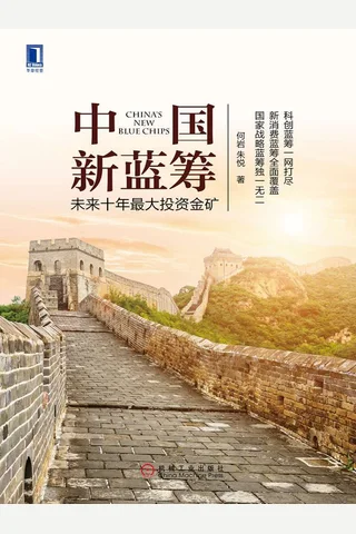 《中国新蓝筹：未来十年最大投资金矿》 封面
