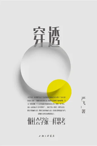 《穿透：像社会学家一样思考》 封面