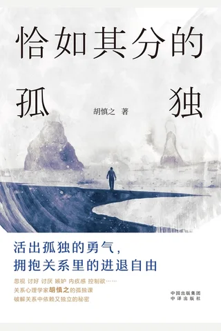 恰如其分的孤独 封面