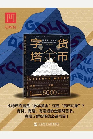 《货币金字塔》 封面